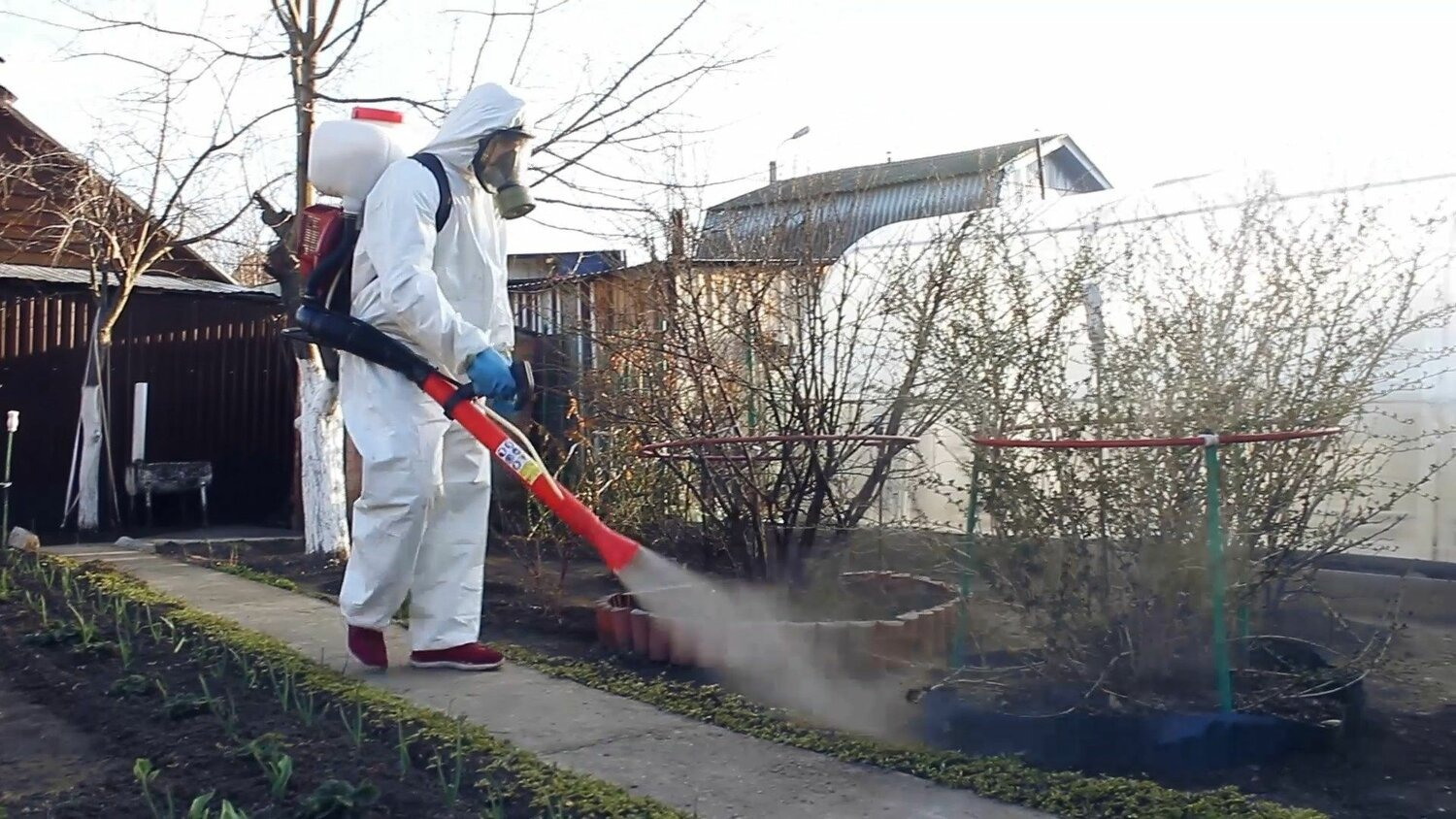 ФОТО Уничтожение муравьёв в Дзержинске