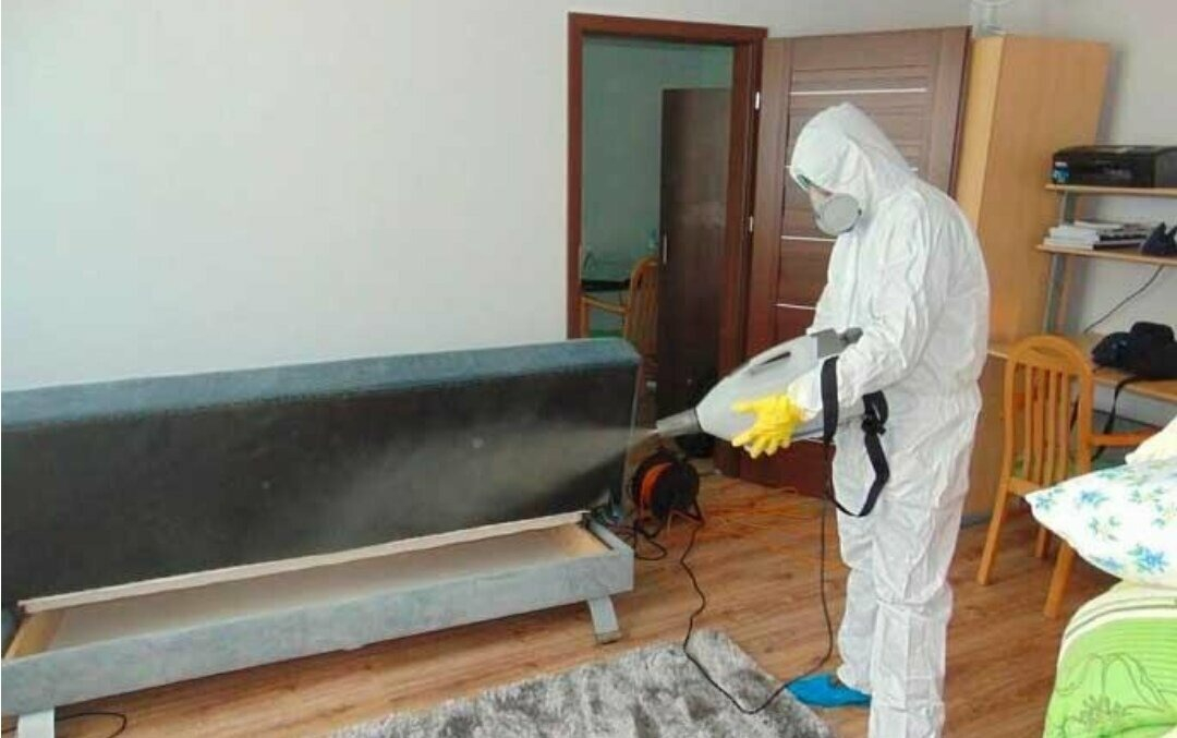 ФОТО Уничтожение блох в Дзержинске