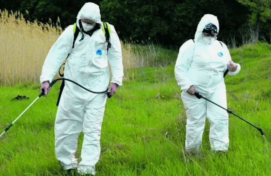 ФОТО Обработка от клещей в Дзержинске