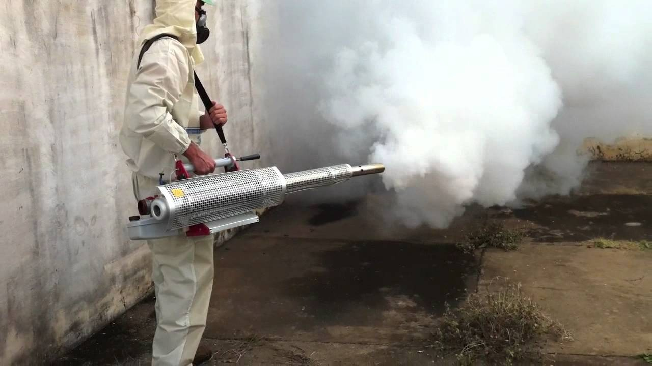 ФОТО Уничтожение мух в Дзержинске