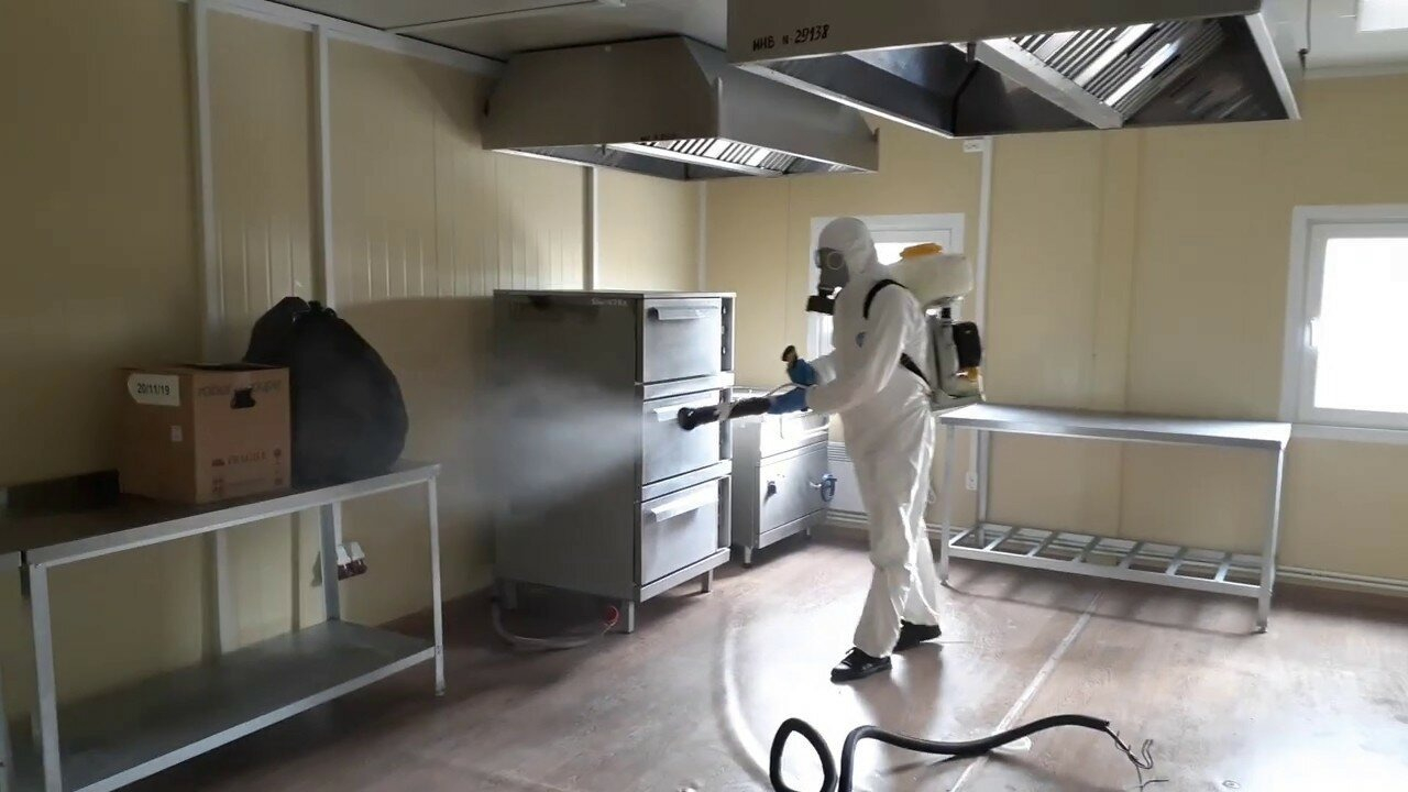 ФОТО Можно ли провести дезинсекцию самостоятельно и какие существуют риски в Дзержинске? | подробно