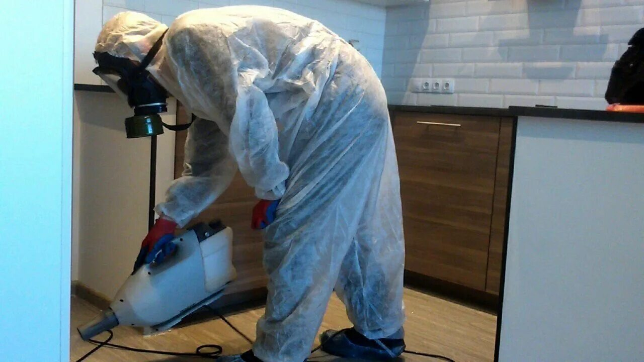 ФОТО Как подготовить домашних животных к обработке от насекомых в Дзержинске? | подробно