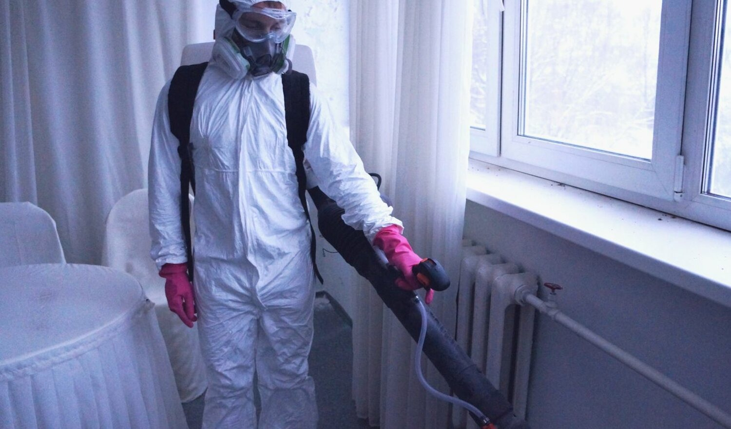 ФОТО Нужно ли выносить растения при дезинсекции в Дзержинске? | подробно