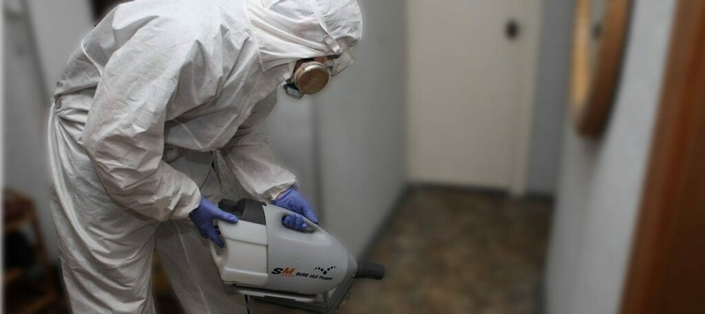 ФОТО Остаются ли следы после обработки квартиры от насекомых в Дзержинске? | подробно