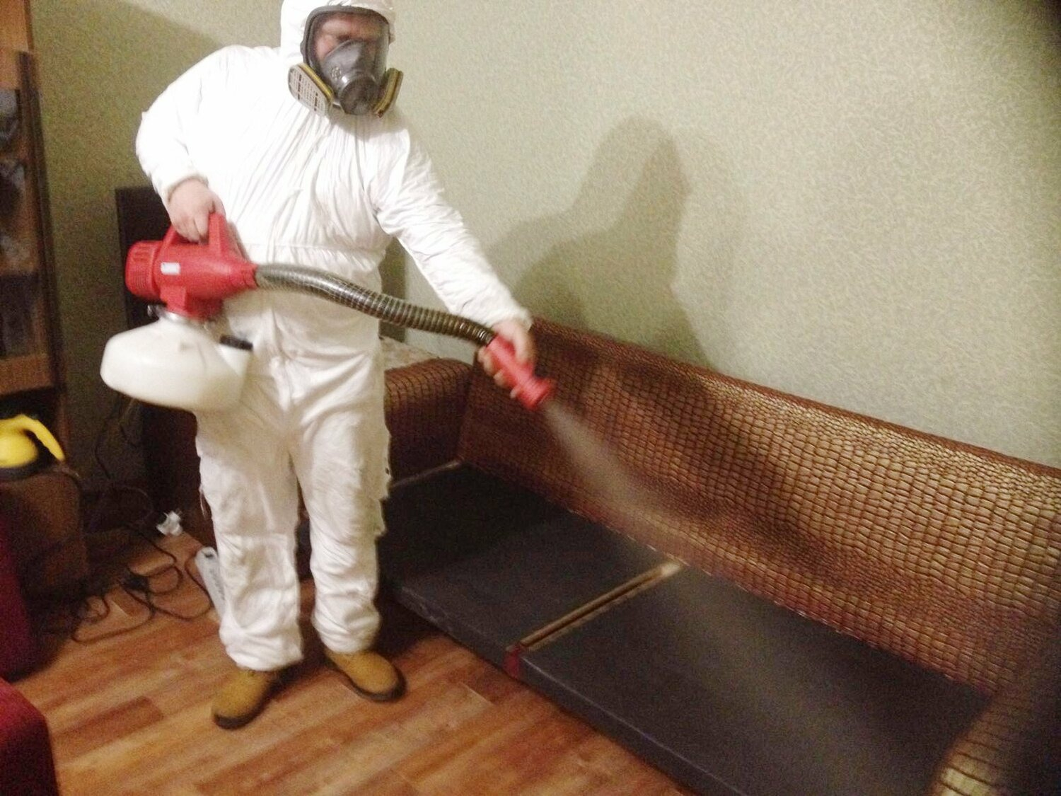 ФОТО Когда можно вернуться в помещение после дезинсекции в Дзержинске? | подробно