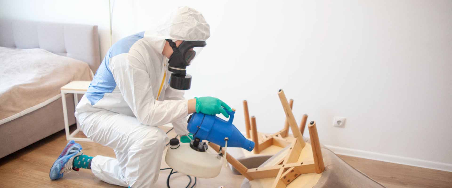 фото: Уничтожение постельных клопов с 1-го раза с гарантией за 30-60 мин. в Дзержинске без предоплаты