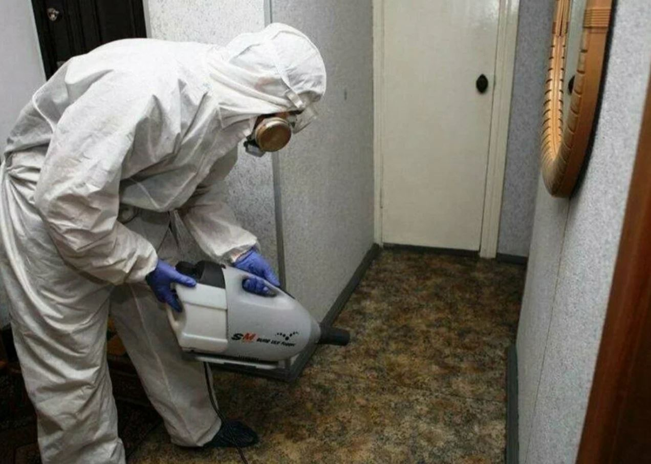 фото: Профессиональная дезинсекция в Дзержинске: <br/>+7-909-173-42-96