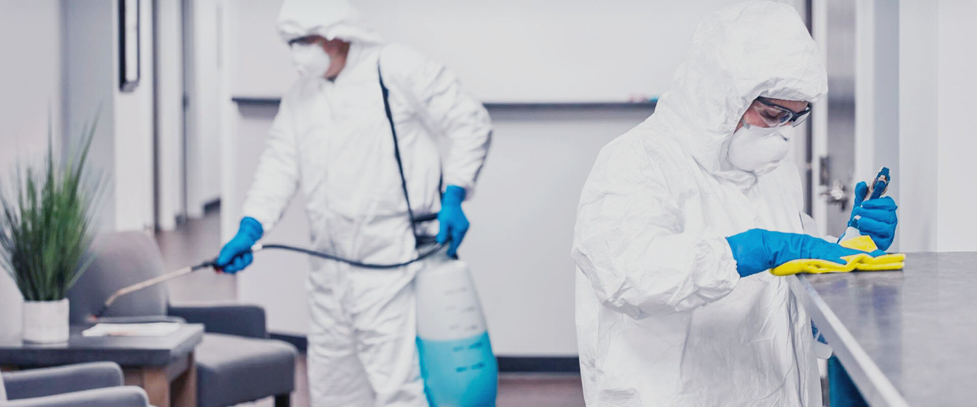 фото: Профессиональная дезинфекция в Дзержинске: <br/>+7-909-173-42-96