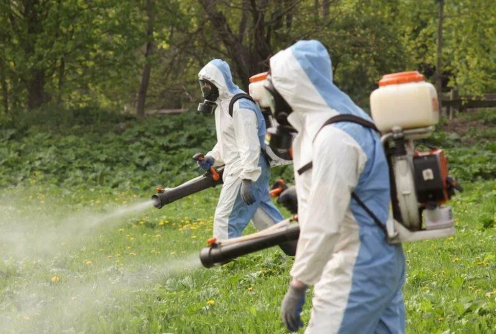 фото: Профессиональное уничтожение мух в Дзержинске: <br/>+7-909-173-42-96