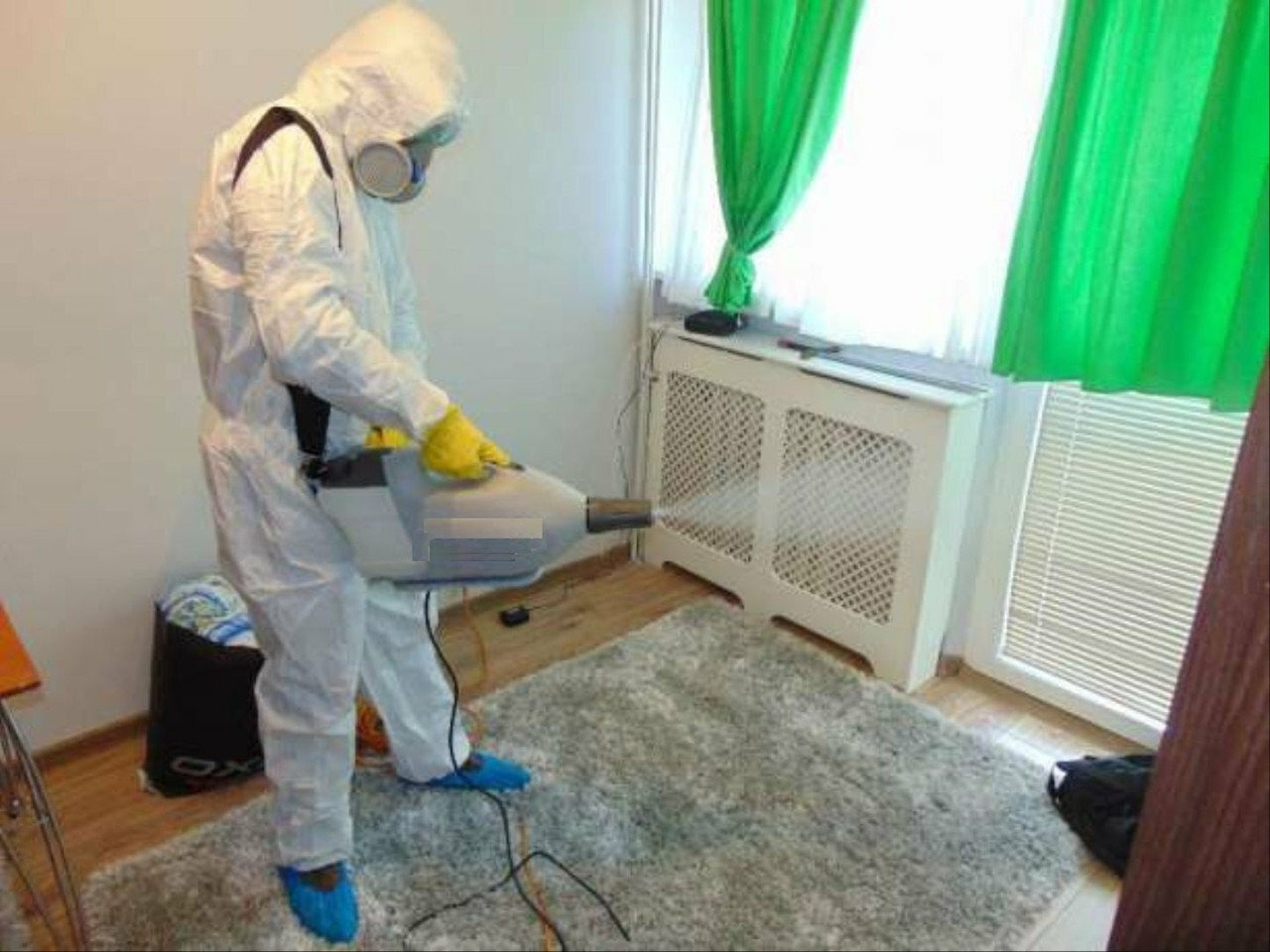 фото: Уничтожение насекомых навсегда с 1-го раза с гарантией за 30-60 мин. в Дзержинске